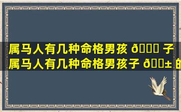 属马人有几种命格男孩 🐋 子「属马人有几种命格男孩子 🐱 的命运」